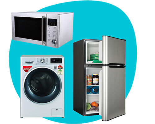 Appliance repair tools neatly arranged